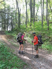 Iron Mountain Inn Bed and Breakfast - Hikers in the Woods