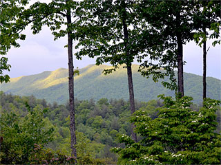 Iron Mountain Inn Bed and Breakfast - Doe Mountain