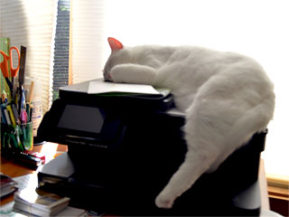 Iron Mountain Inn Bed and Breakfast - Squeak on Printer