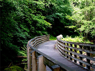 Iron Mountain Inn Bed and Breakfast - Virginia Creeper Trail - Damascus VA