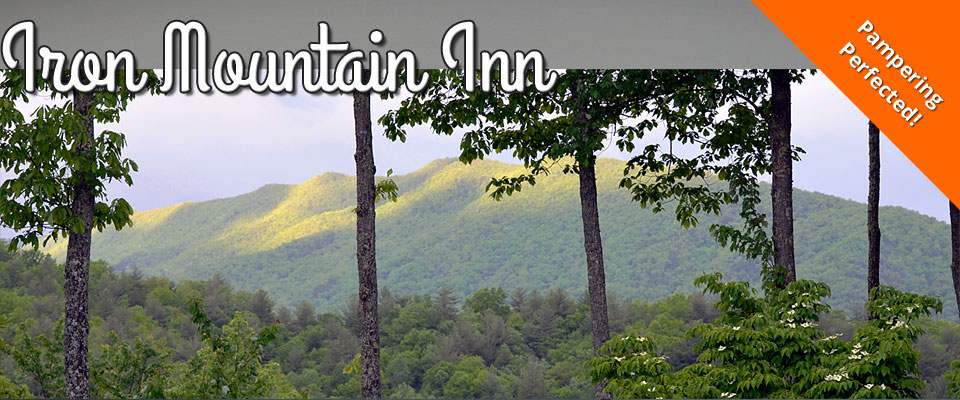 Bed And Breakfast In Johnson City Nc Bed And Breakfast In Johnson City Nc