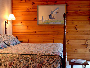 Iron Mountain Inn Bed and Breakfast - Appalachian Spring Room